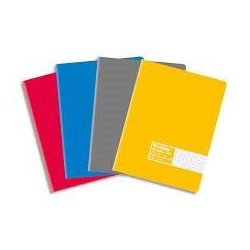 Cahier 17x22cm, 96p, petits...