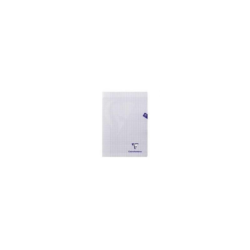 Cahier polypro 21x29,7cm, 48p, grands carreaux, incolore
